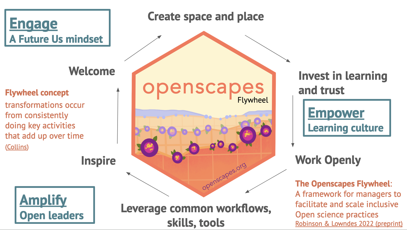 A diagram of the Openscapes flywheel. The Openscapes logo sits in the center of a cyclical process. The text around the logo reads as follows: 'Welcome bright spots (be they mentors or researchers) -- people who want to work better and collaborate' > 'Create space and place to connect and collaborate; remove barriers to participation (paid time, part of jobs)' > 'Invest in learning and trust; Everyone has something to learn, ask, teach; don't need to be an expert in everything. Cultivate psychological safety, growth mindset. Slowing down to speed up.' > 'Work Openly; Put what you learn into practice quickly, role-modeing sharing imperfect work and identifying common challenges and opportunities. Openness is a spectrum; first Future You and then Future Us' > Leverage common workflows, skills, tools; This is where we speed up: Iterate, reuse, remix with each other and teh broader community' > 'Inspire broader scientific communities through visible examples and leaders -- Open science shift' > repeat. These six steps are summarized by three overarching goals, which are also written around the logo: 'Engage a future us mindset', 'Empower learning culture', and 'Amplify open leaders'.